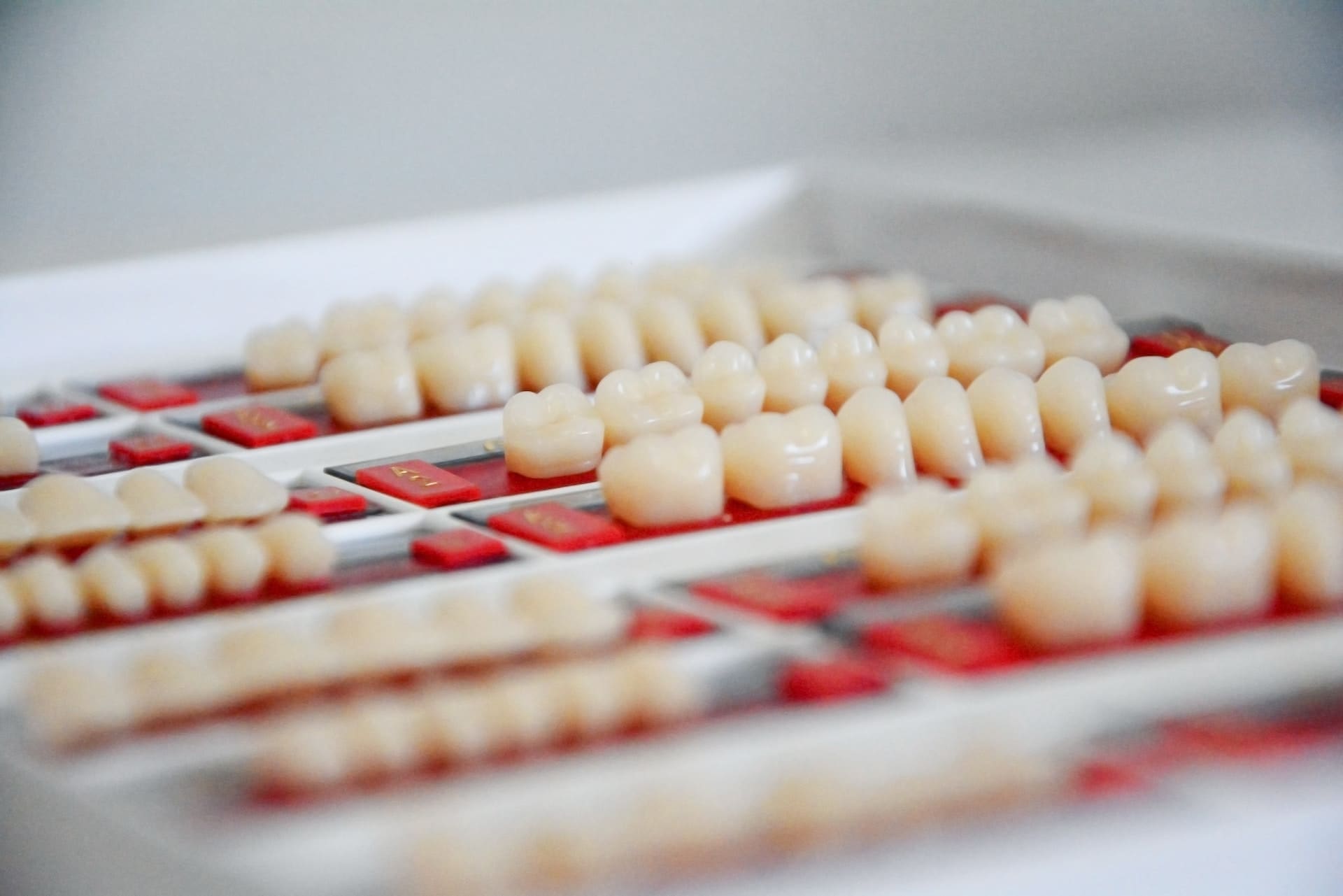 Tray of teeth models arranged in rows.